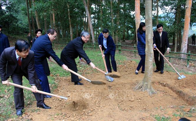 越共中央书记处常务书记陈国旺出席宣光省植树节启动仪式